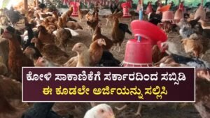 Poultry Farming Scheme