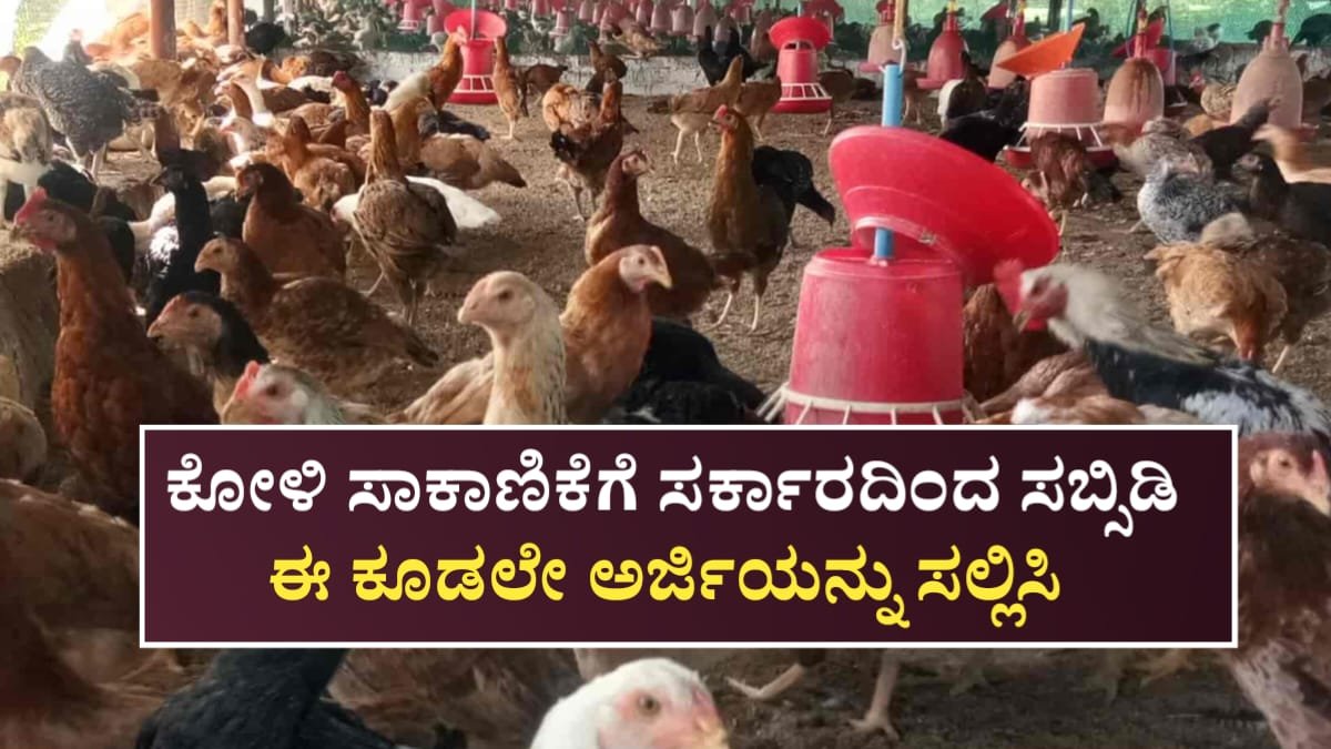 Poultry Farming Scheme