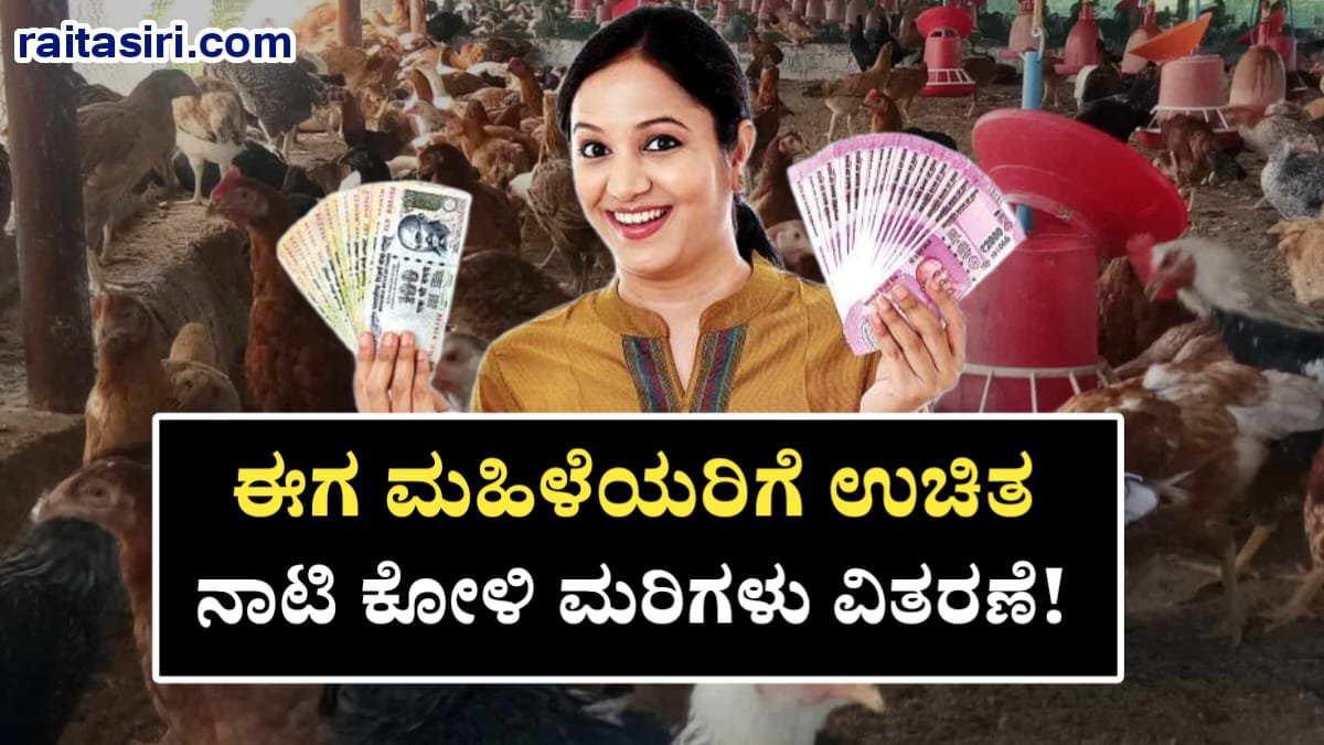 Natikoli Farming Scheme