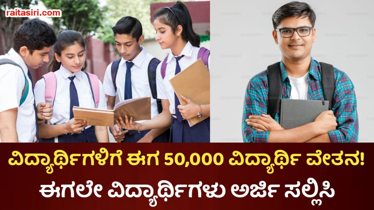 AHFL Scholarship In 2025