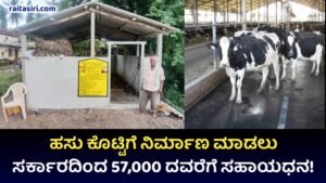 Hasu Shed Subsidy Scheme