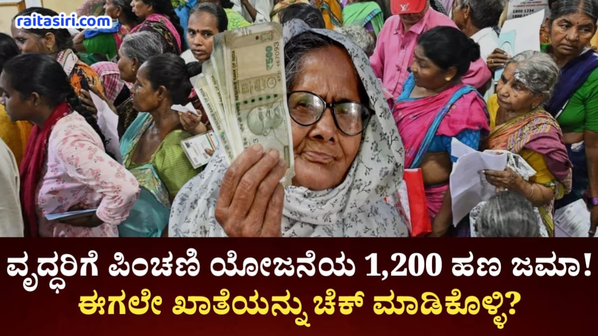 Pension Amount Credited