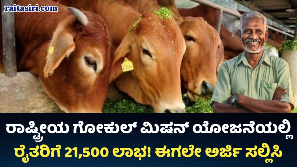 Gokula Mission Subsidy Scheme