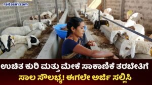 Free Sheeping Training Scheme