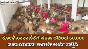 Koli Shed Subsidy Scheme