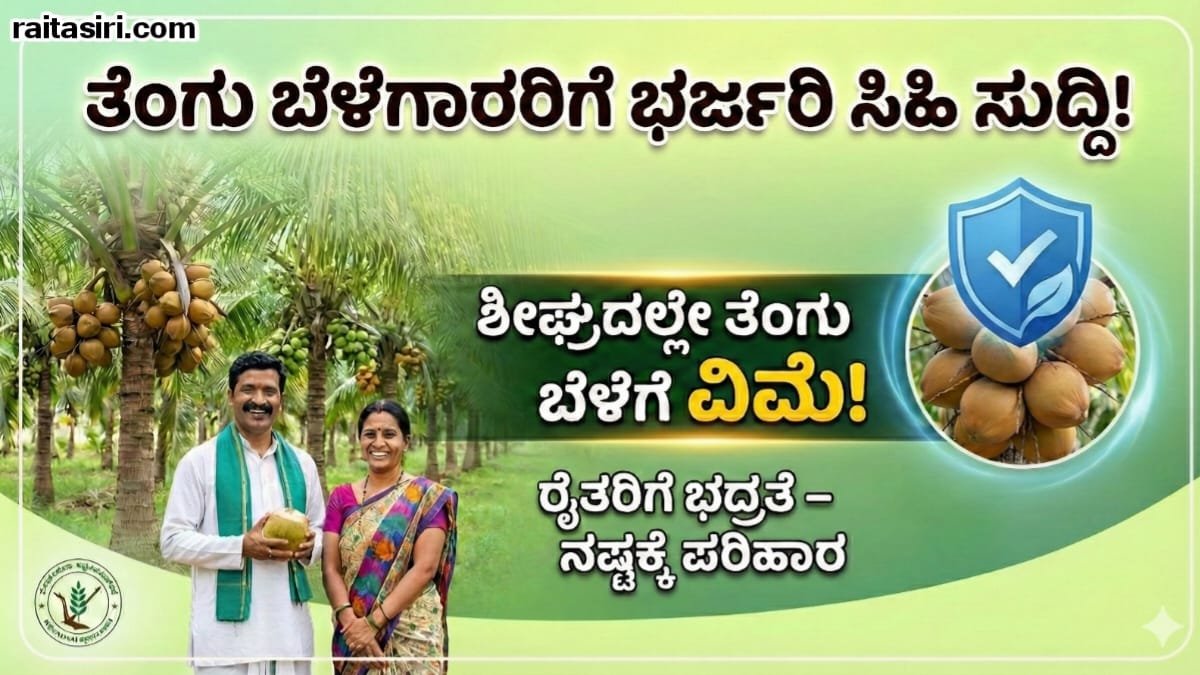 Coconut Insurance Scheme