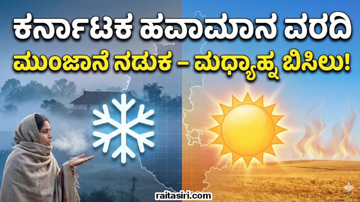 Today Weather Update